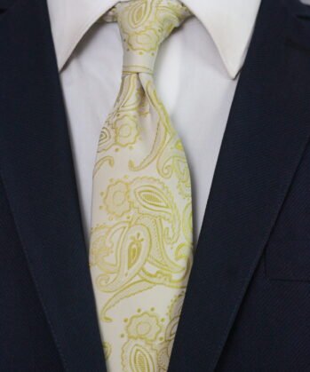 Paisley Jaquard Neck Tie