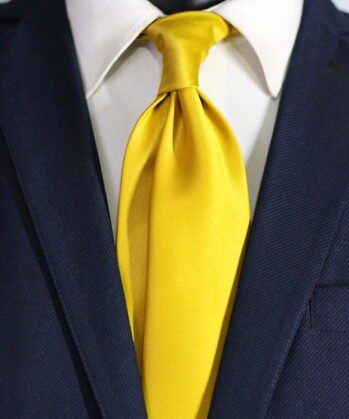 Plain Jaquard Neck Tie