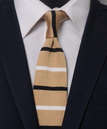 Stripe Treqo Neck Tie