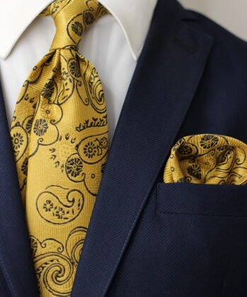 Paisley Jaquard Neck Tie With Hanky