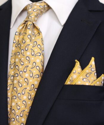 Paisley Jaquard Neck Tie With Hanky